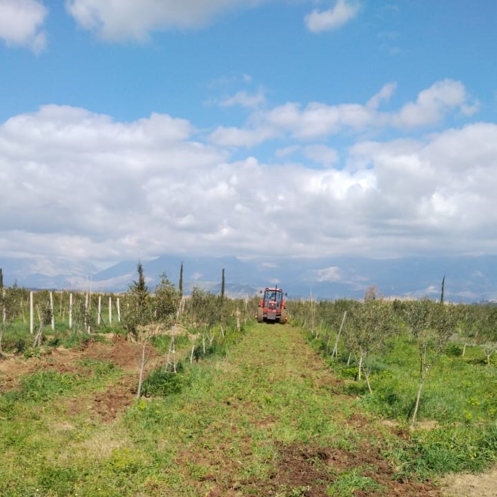 Farm